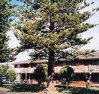 Eastern Beach Holiday Units - Accommodation in Brisbane