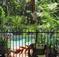 Daintree Rainforest Retreat Motel - Accommodation in Brisbane