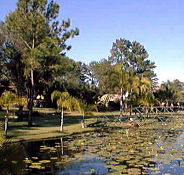 Twin Lakes Hotel - Accommodation in Brisbane