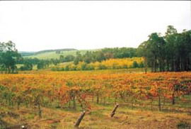 Byramgou Park - Accommodation in Brisbane 0