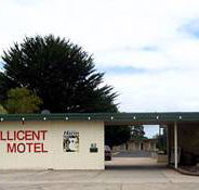 Millicent Motel - Accommodation in Brisbane