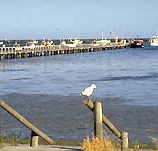 Seaview Motel and Holiday Units - Accommodation in Brisbane