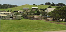 Cape Schanck VIC Accommodation in Brisbane