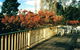 Heronswood House - thumb 5