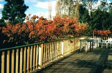 Heronswood House - Accommodation in Brisbane 5
