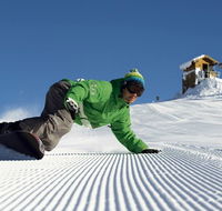 Snowbird Inn - Accommodation in Brisbane