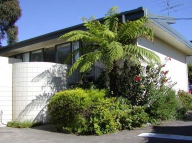 Penguin Mews - Accommodation in Brisbane 3