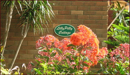 Balgowlah NSW Accommodation in Brisbane