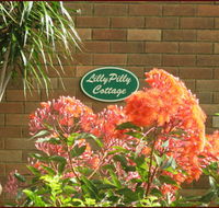 Lillypilly - Accommodation in Brisbane