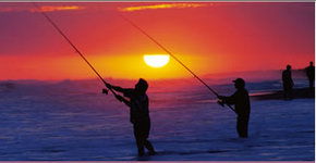 Lakes Jakaranda Holiday Units - Accommodation in Brisbane 0