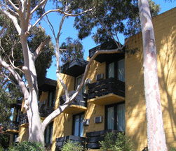 Pathfinder Motel - Accommodation in Brisbane 1