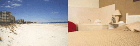 Buffalo Motor Inn - Accommodation in Brisbane 4