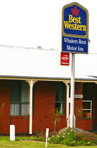 Best Western Whalers Rest Motor Inn - Accommodation in Brisbane