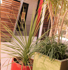 Adelphi Apartments - Accommodation in Brisbane 1