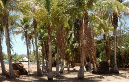 King Sound Resort Hotel - Accommodation in Brisbane