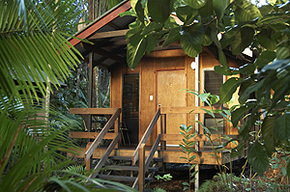 Cape Tribulation QLD Accommodation in Brisbane