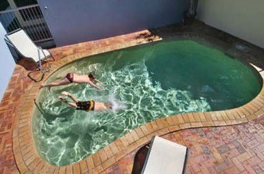 Belvedere Apartments - Accommodation in Brisbane 0