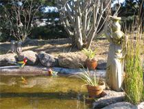 Murray Gardens Motel And Cottages - Accommodation in Brisbane 2