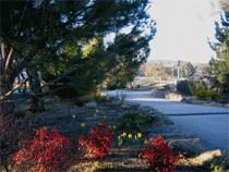 Murray Gardens Motel And Cottages - Accommodation in Brisbane 3