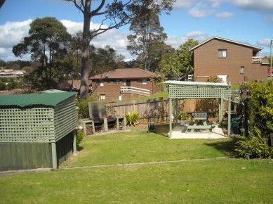 The Tree Motel - Accommodation in Brisbane 0