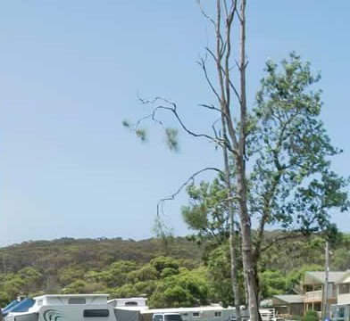 Merry Beach Caravan Park - Accommodation in Brisbane 2