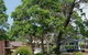 Merry Beach Caravan Park - thumb 3