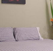 Stingo Hotel - Accommodation in Brisbane