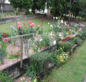 Kintail Homestay - Accommodation in Brisbane