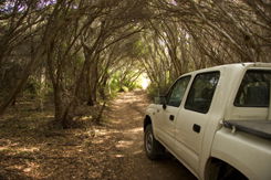 Nampara Cabins - Accommodation in Brisbane 1