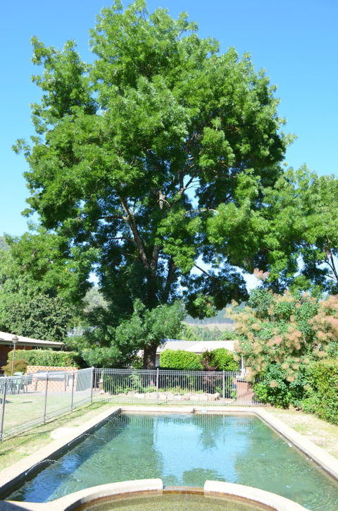 Bright Colonial Inn Motel - Accommodation in Brisbane 4