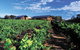 Watershed Premium Wines - thumb 1