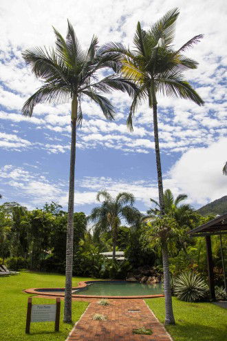 Lake Placid Tourist Park - Accommodation in Brisbane 1