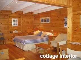 Anglesea Rivergums - Accommodation in Brisbane 0