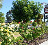 Narrogin Motel - Accommodation in Brisbane
