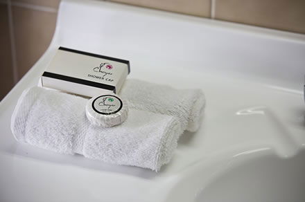 Cumberland Motor Inn - Accommodation in Brisbane 7