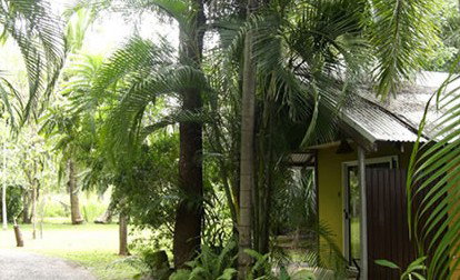 Rum Jungle Bungalows - Accommodation in Brisbane 3