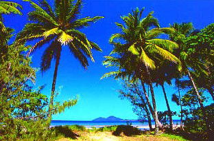 Mission Beach Rainforest Motel - Accommodation in Brisbane 1