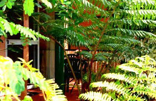 Mission Beach Rainforest Motel - Accommodation in Brisbane 3
