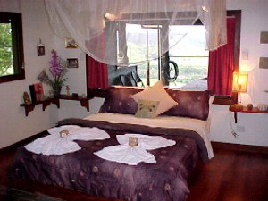 Daintree Cloud 9 - Accommodation in Brisbane 0