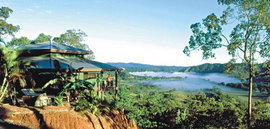 Daintree Cloud 9 - Accommodation in Brisbane 1