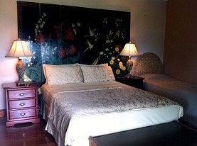 Daintree Manor - Accommodation in Brisbane 0