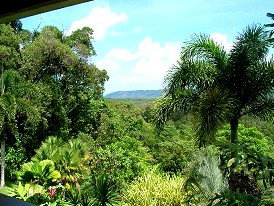 Daintree Manor - Accommodation in Brisbane 3
