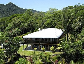 Daintree Manor - Accommodation in Brisbane 4