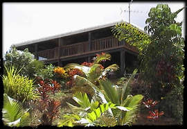 Daintree Manor - Accommodation in Brisbane 5