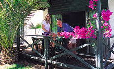 Desert Palms Resort - Accommodation in Brisbane 3