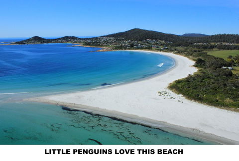 Diamond Island Resort - Accommodation in Brisbane 5