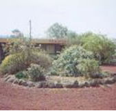 Beaufort Motel - Accommodation in Brisbane