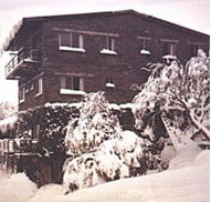 Elk at Falls - Accommodation in Brisbane