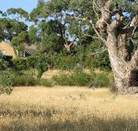 Wings Barossa Bird and Bush Retreat - Accommodation in Brisbane