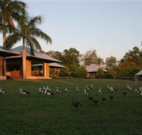 Feathers Sanctuary - Accommodation in Brisbane